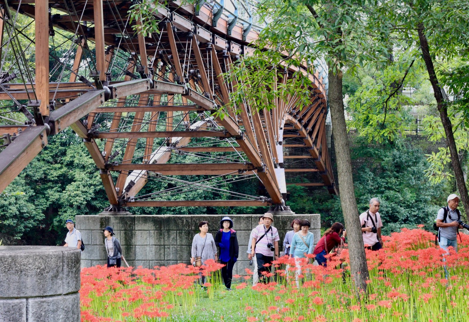 🌸 킨차쿠다 만주사화 공원 이미지 5